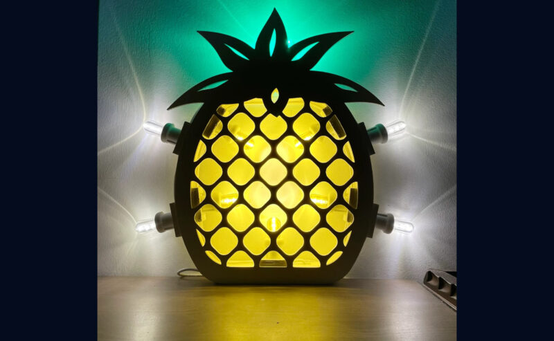 Ananas e Ananas con gli occhiali