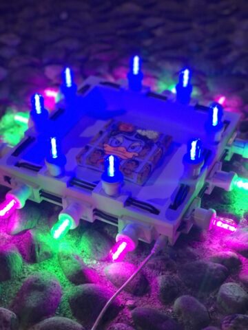 Freeduck collaborazione tra le luci del mio Salento e Carlotta Ciovini