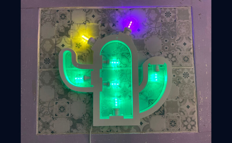 Cactus